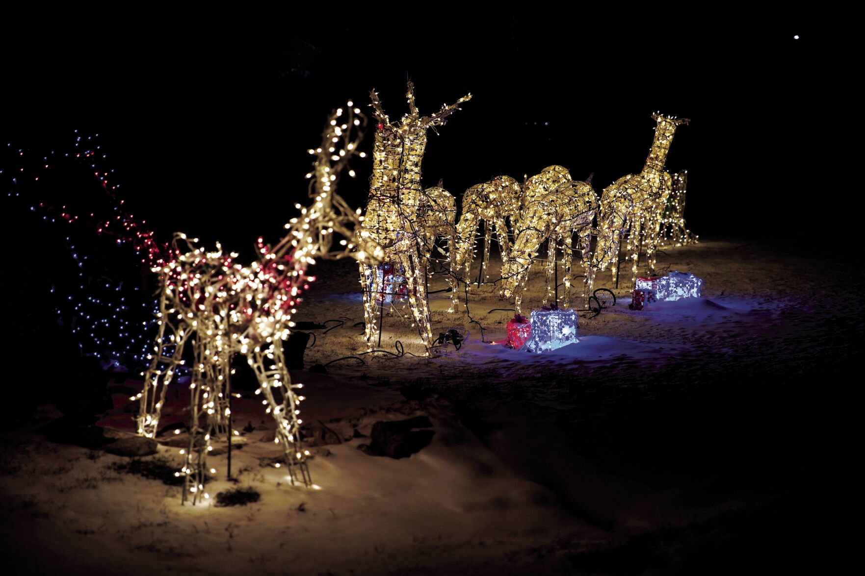 12-24-2020 More Christmas Lights Stand Alones 002.jpg
